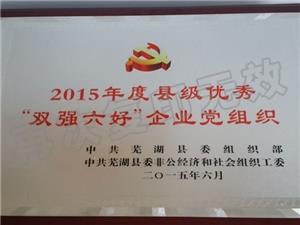 2015年雙強六好